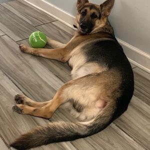 Meet your Posher, Christopher